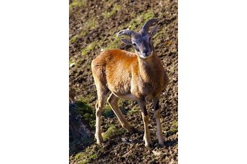 Słowacja Chata Veľké Rovné, Zewnątrz